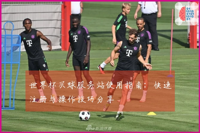 世界杯买球服务站使用指南：快速注册与操作技巧分享