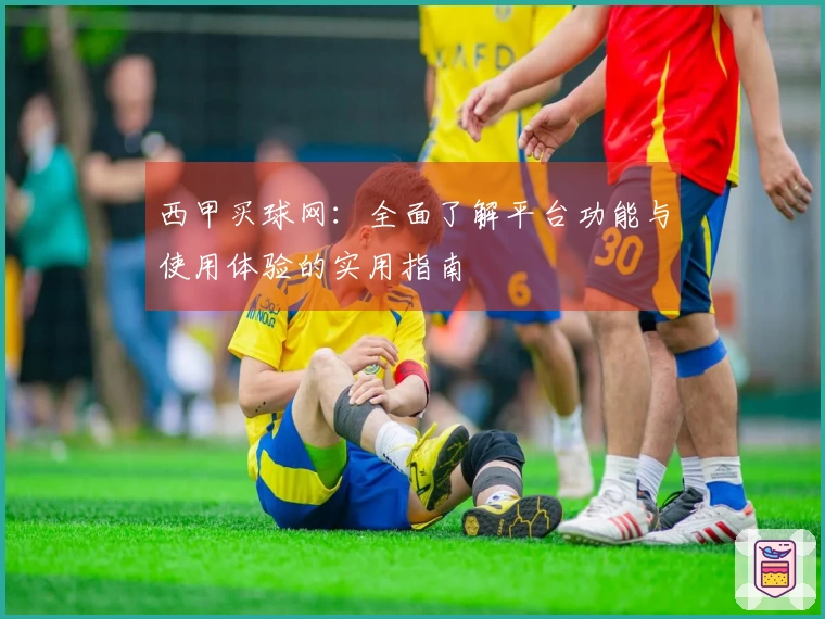 西甲买球网：全面了解平台功能与使用体验的实用指南